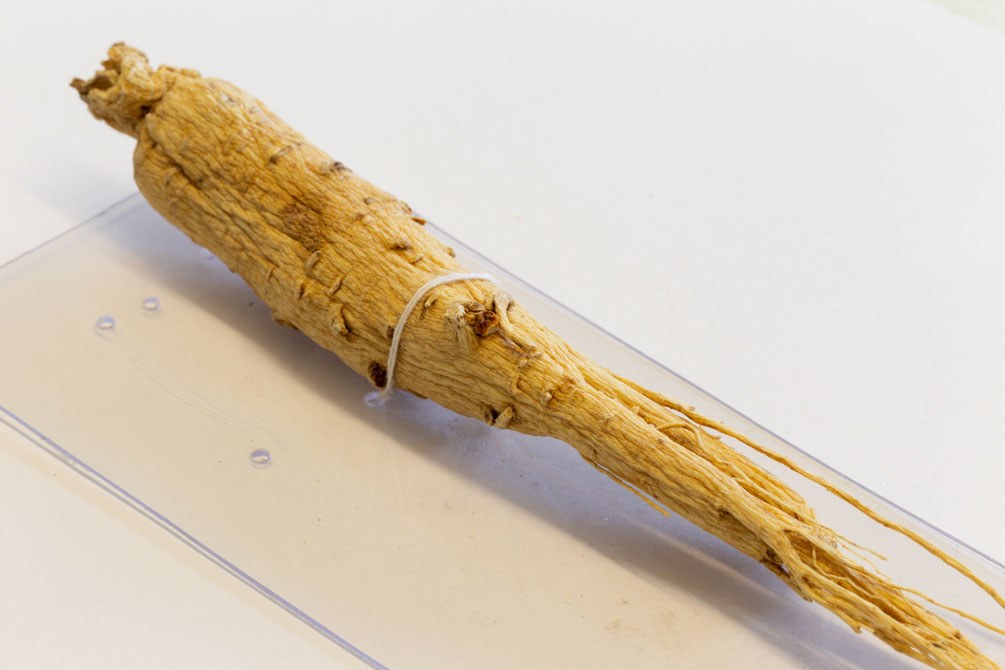 Gingseng getrocknet