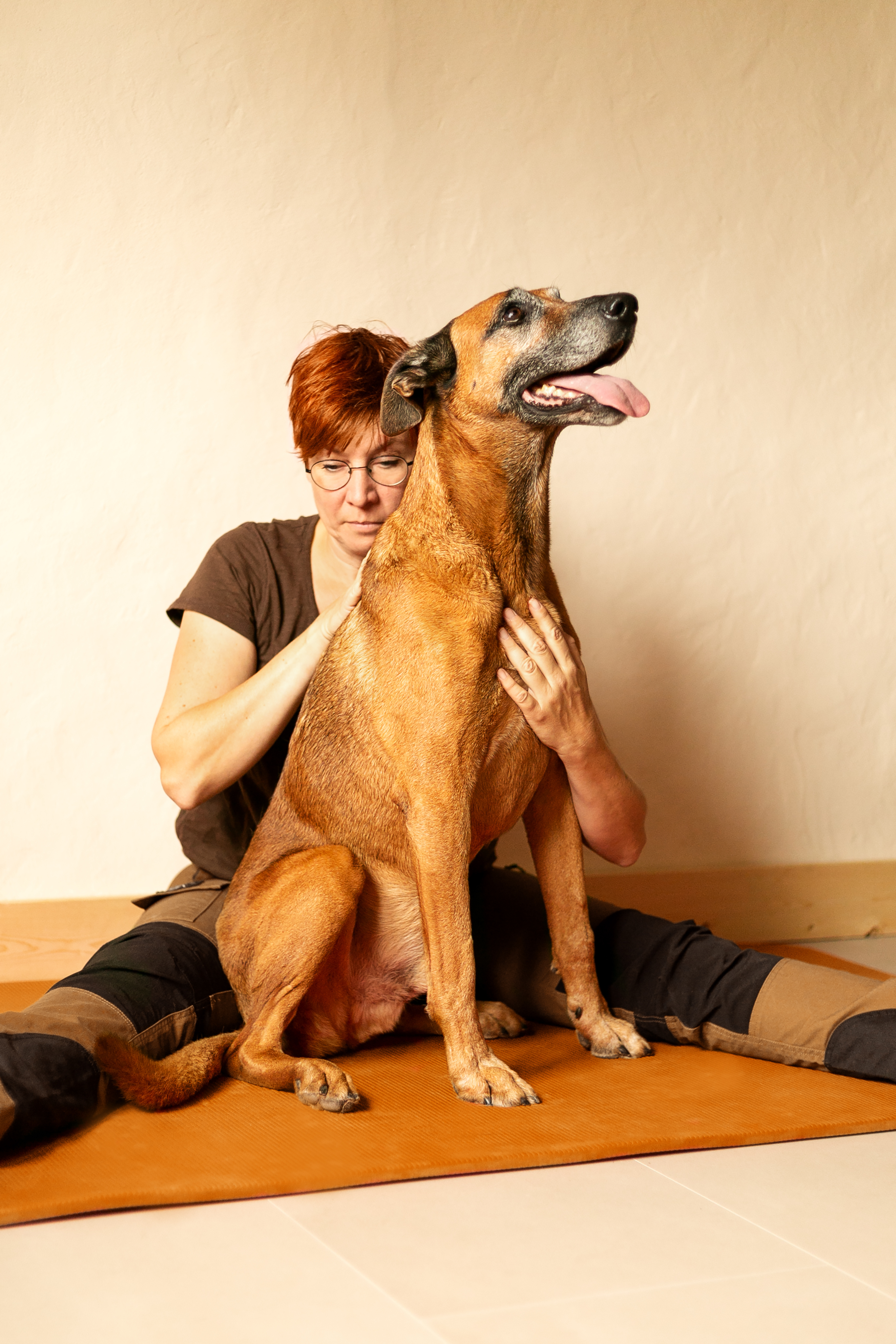 D9e300aa a01f c03f fe20 369a54235c4b